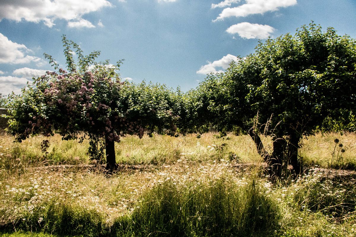 Real Wedding Image for Jennifer