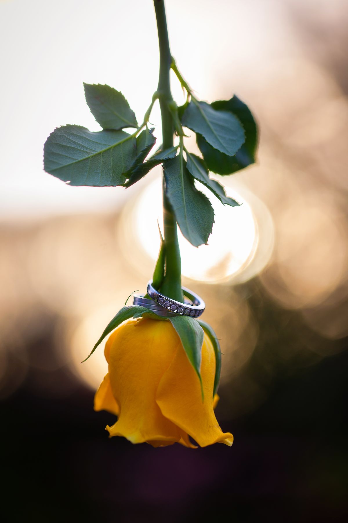 Real Wedding Image for Ashley