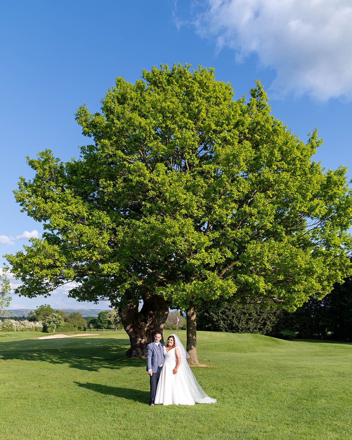 A mighty tree on a mights day
