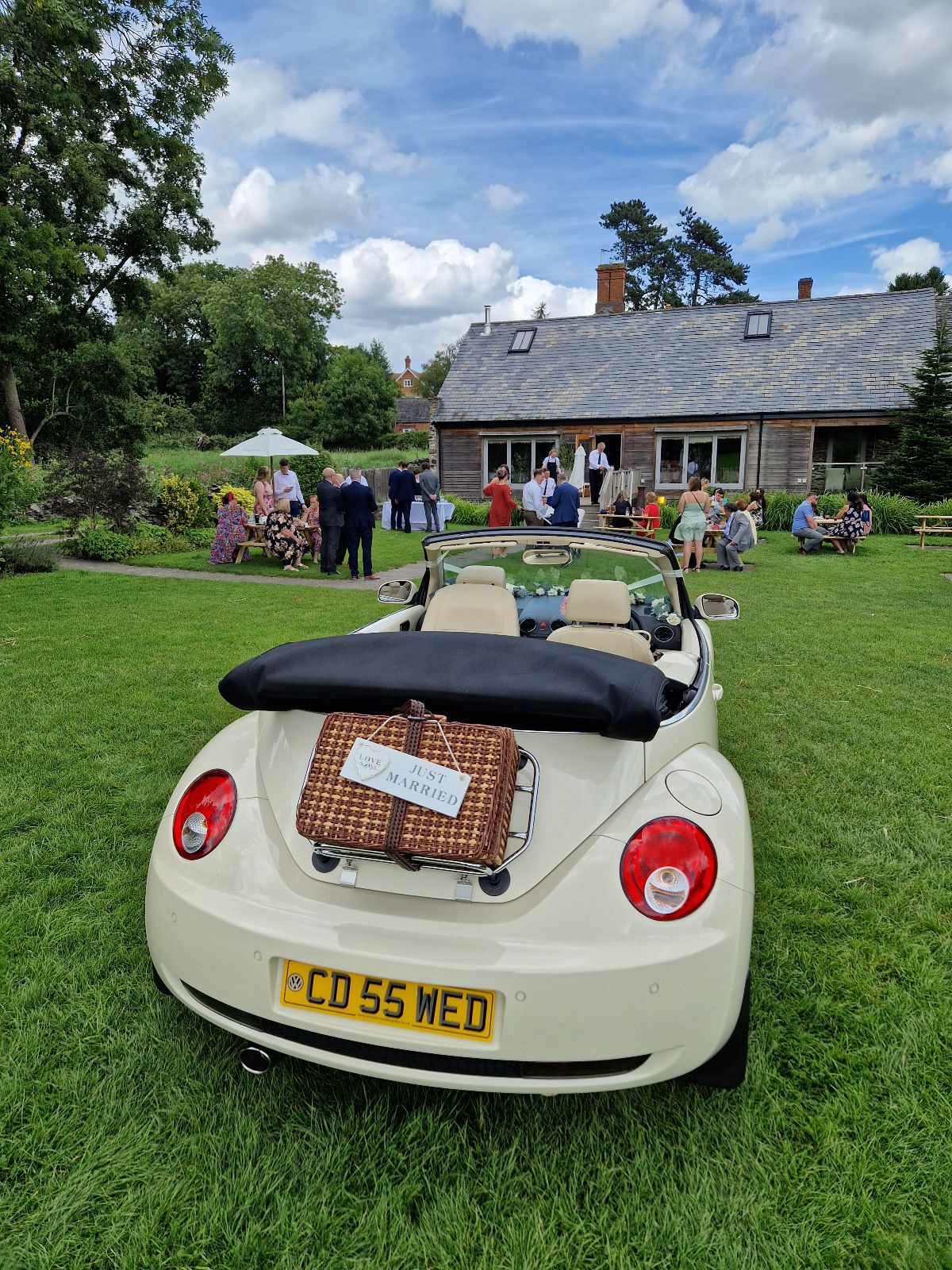 Just married and mingle with their guests.