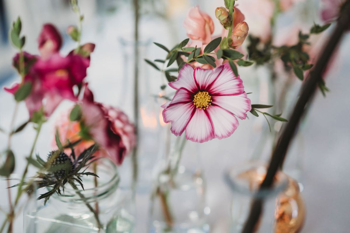 Real Wedding Image for Debbie