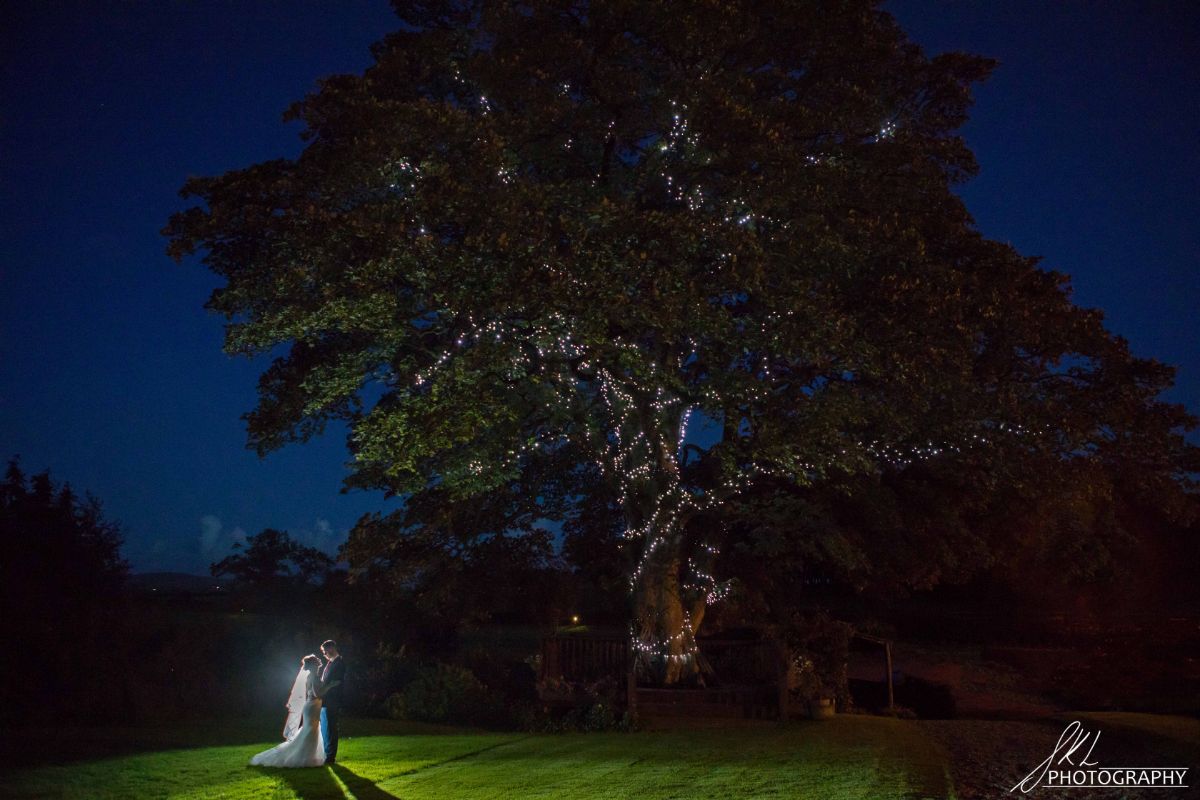 The old tree - Stirk House