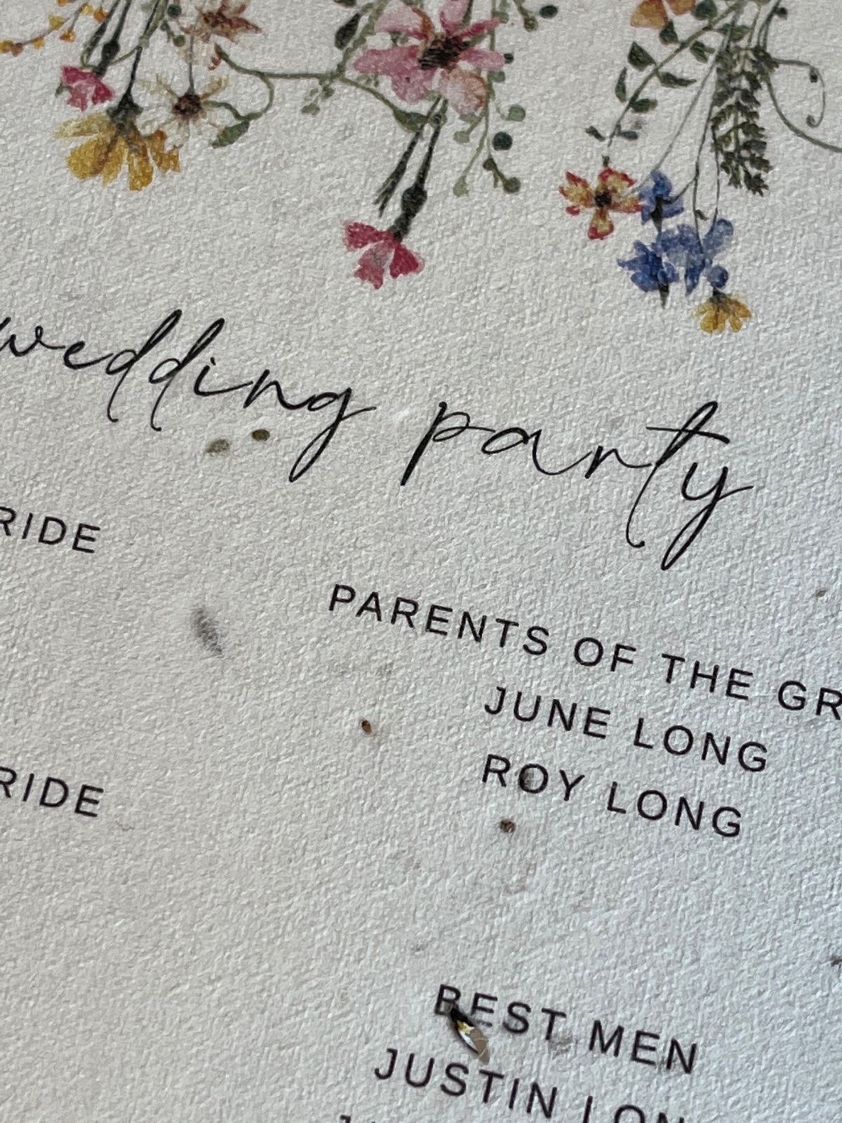 Real Wedding Image for Lindsey/Julian  & Dynamic Print
