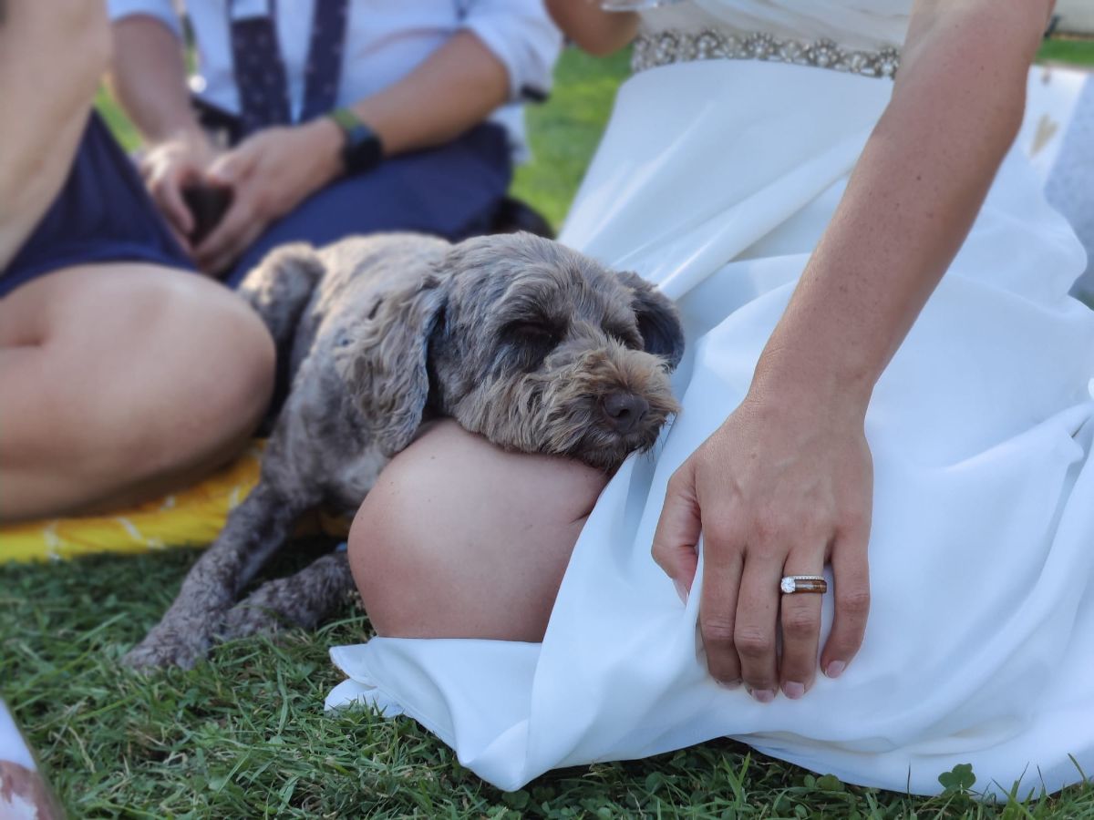 Real Wedding Image for Edward & Nikki