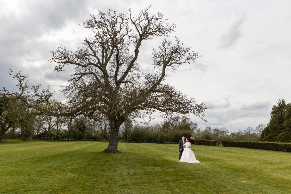 Couples photos using one of the beautiful trees 