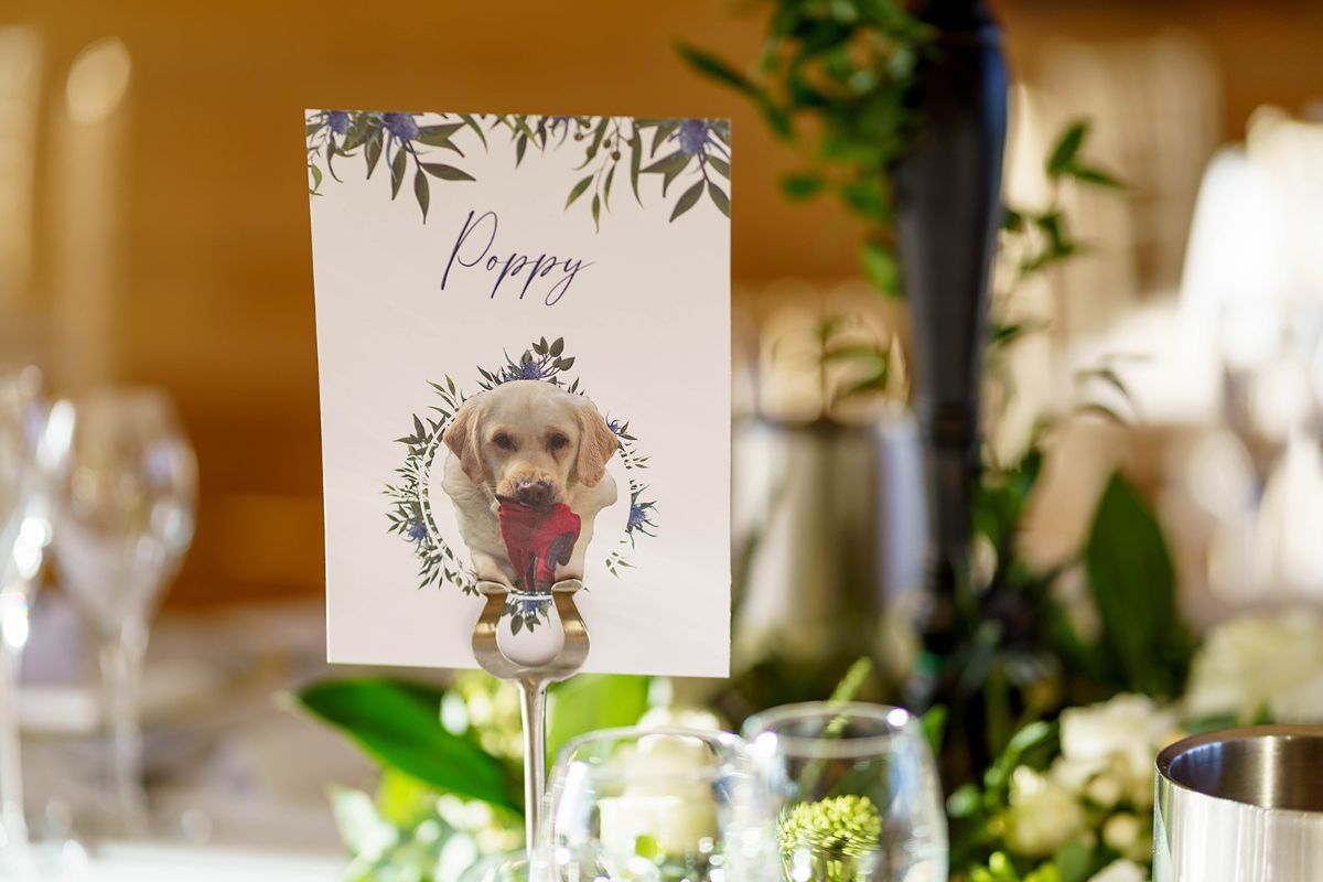 Double sided table numbers featuring all the dogs the couple have adopted, with a cute story of each one on the back