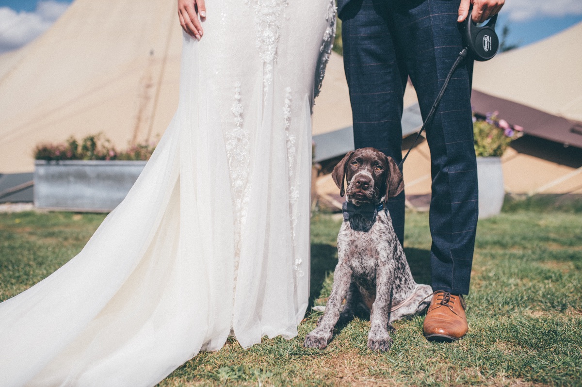 Real Wedding Image for Chloe & Tom