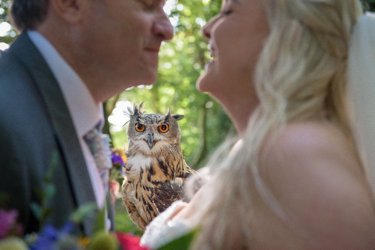 Real Wedding Image for Skye & Rich