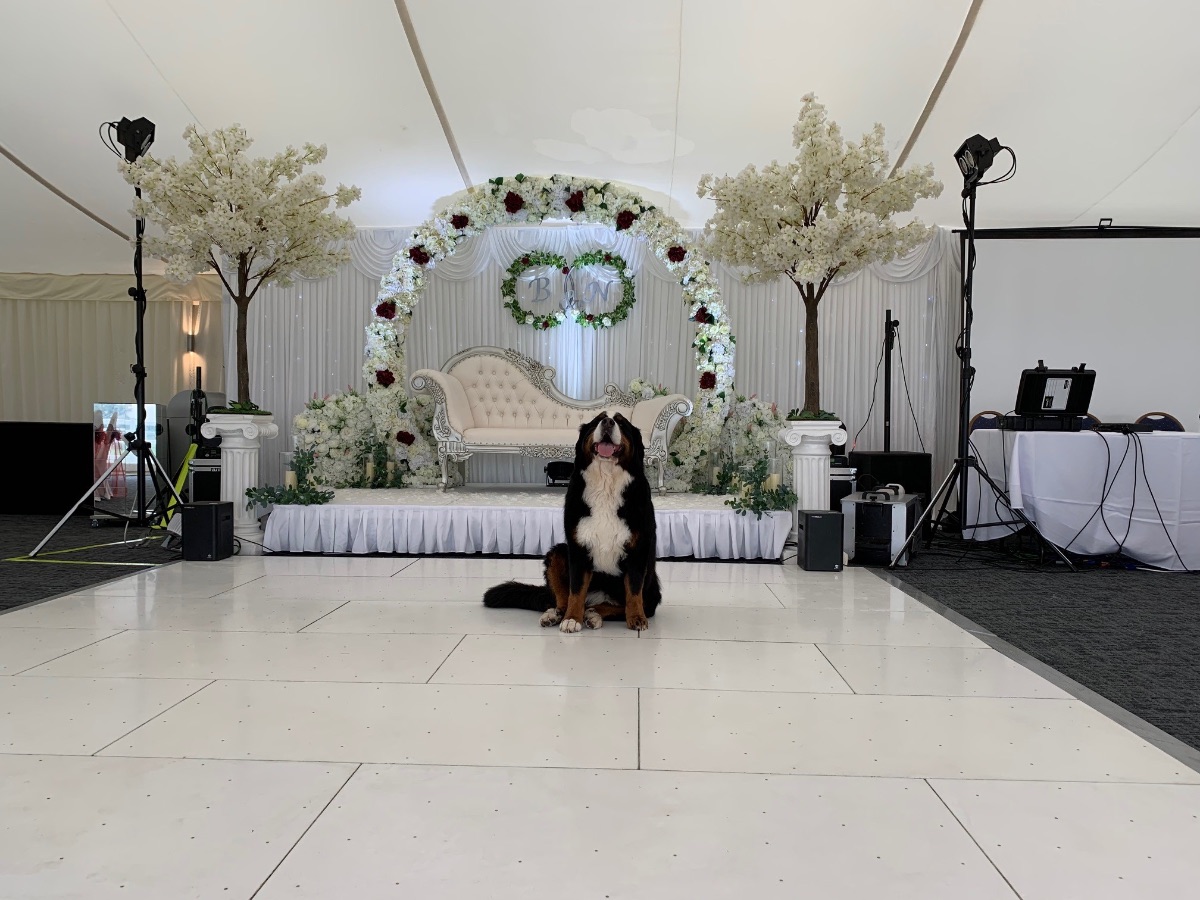 Real Wedding Image for Asian  & Wedding