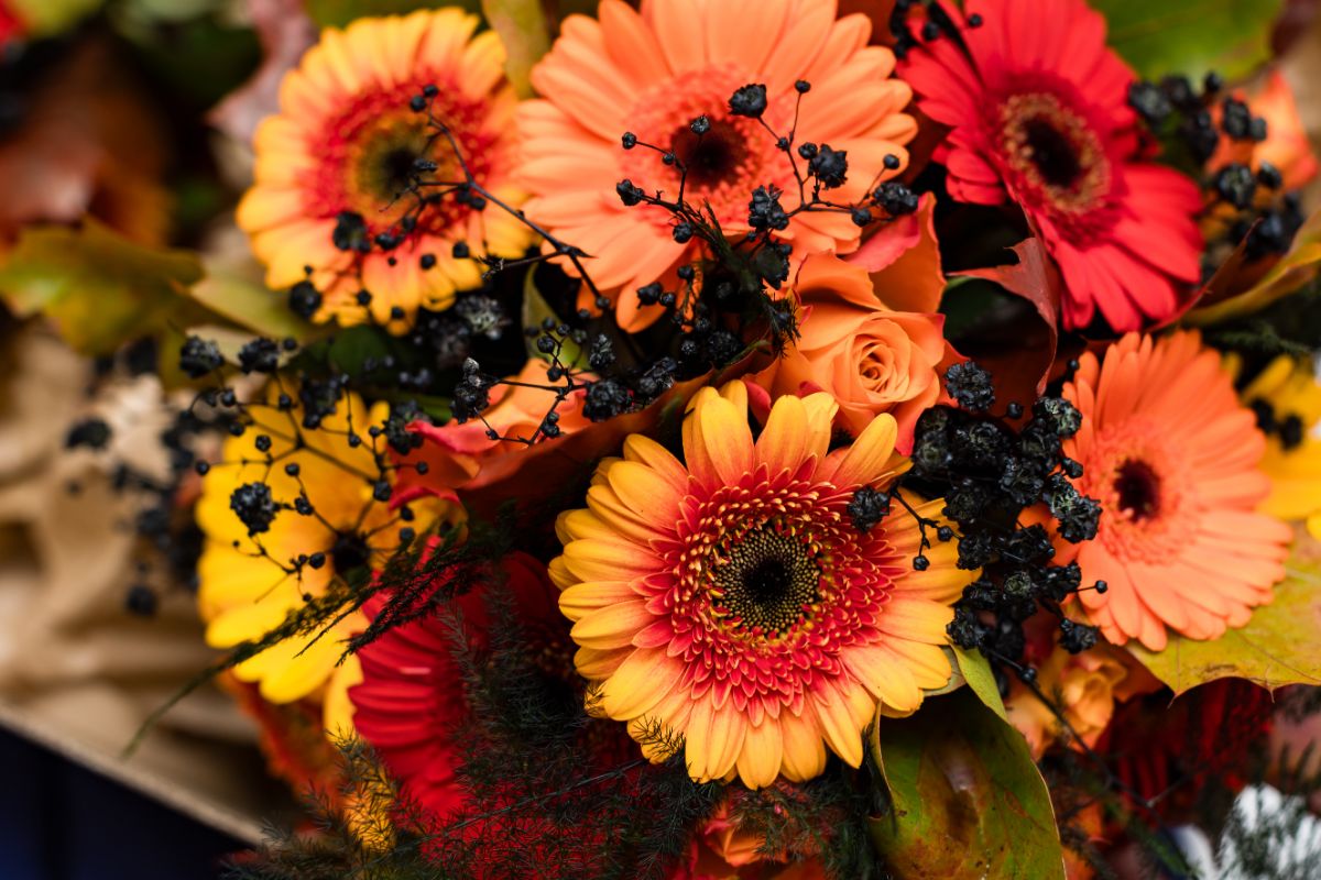 Beautiful Decor by Hunny B